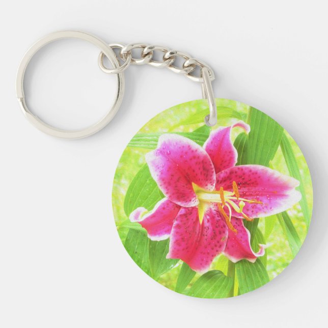 Söt Deep Rosa Stargazer Lily on Lime Green (Framsidan)