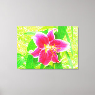 Söt Deep Rosa Stargazer Lily on Lime Green Canvastryck