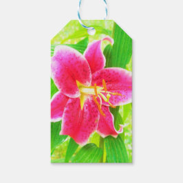 Söt Deep Rosa Stargazer Lily on Lime Green Presentetikett