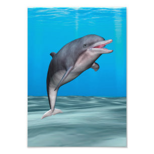 Söt delfin fototryck
