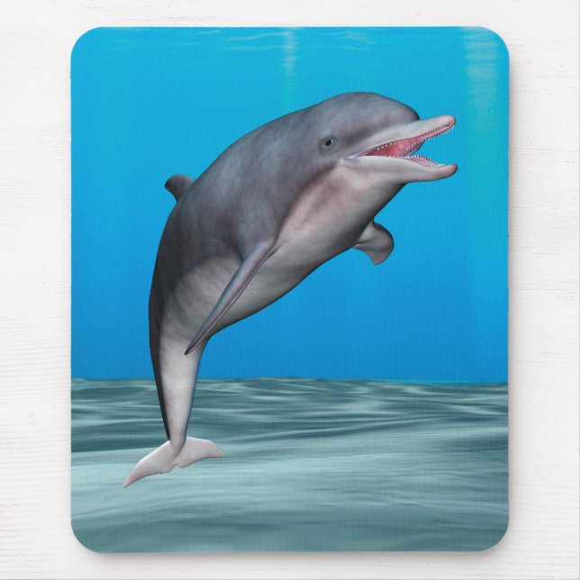 Söt delfin musmatta (Framsidan)