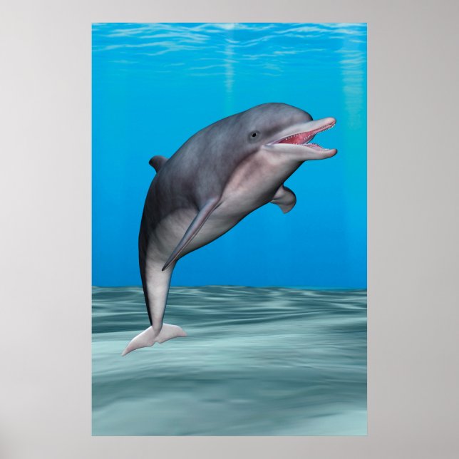 Söt delfin poster (Framsidan)