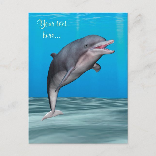 Söt delfin vykort (Framsida)