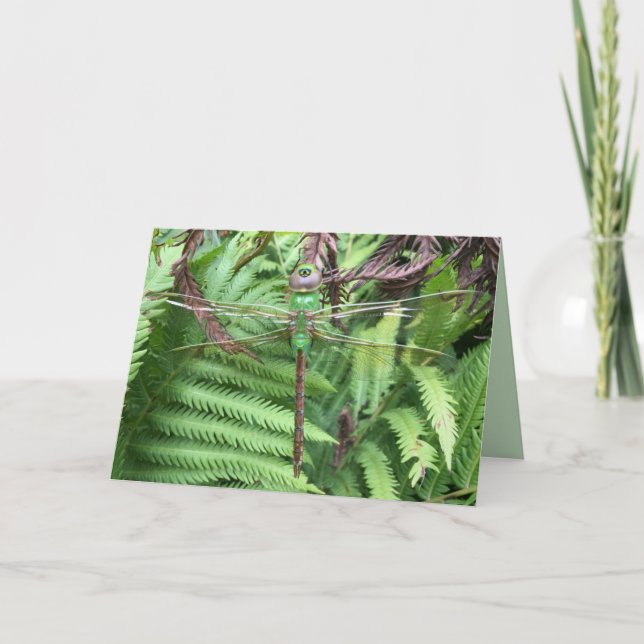 Söt Dragonfly i Garden Photo Greeting Card Kort (Framsida)