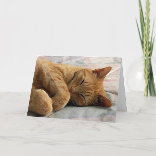 Söt Dreams-hälsningskort Kort (Framsida)