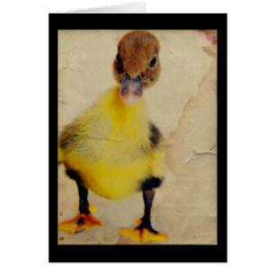 Söt Duckling Hälsningskort