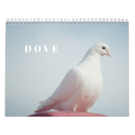 Söt duva vit duva kärlek & fred symbol fågel kalender