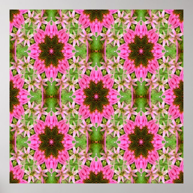 Söt Echanicea..... Poster (Framsidan)