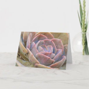 Söt Echeveria Cactus Succulent Art Note Card Kort