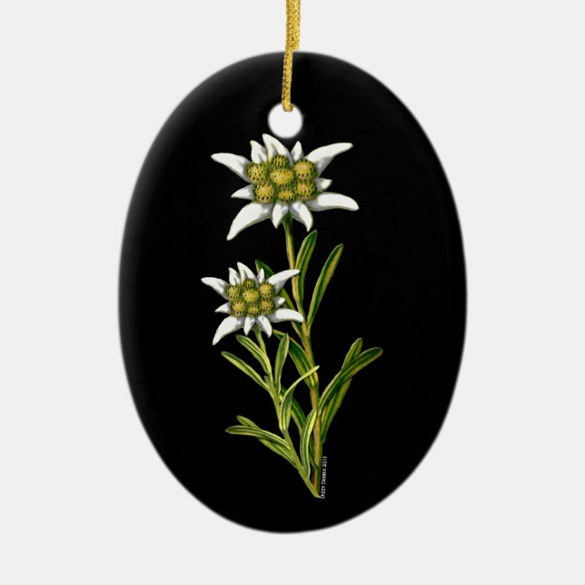 Söt Edelweiss ornament (Framsidan)