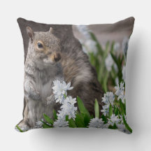 Söt ekorre i vårblommor naturfotografering