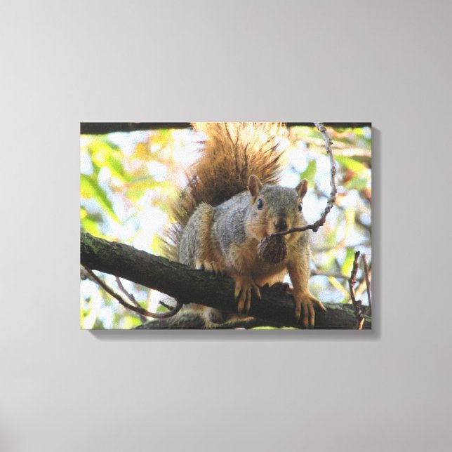 Söt ekorre som håller en nöt Fotografi Canvas Art (Framsida)