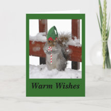 Söt Ekorre Vikad Högtids Kort på Grönt