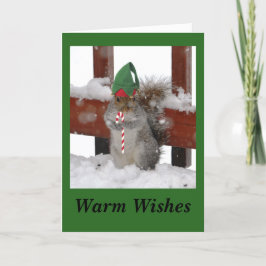 Söt Ekorre Vikad Högtids Kort på Grönt