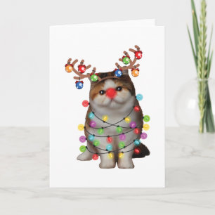 Söt Exotisk Korthårig Katt Roligt Xmas Holiday Pre Kort