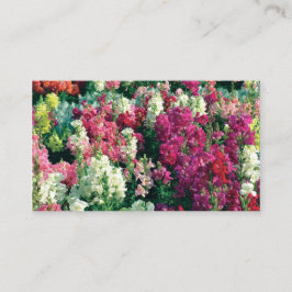 söt, färgade trädgårdsblommor visitkort