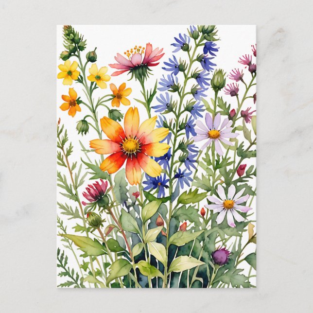Söt färglös målarfärg för vilda blommor vykort (Framsida)