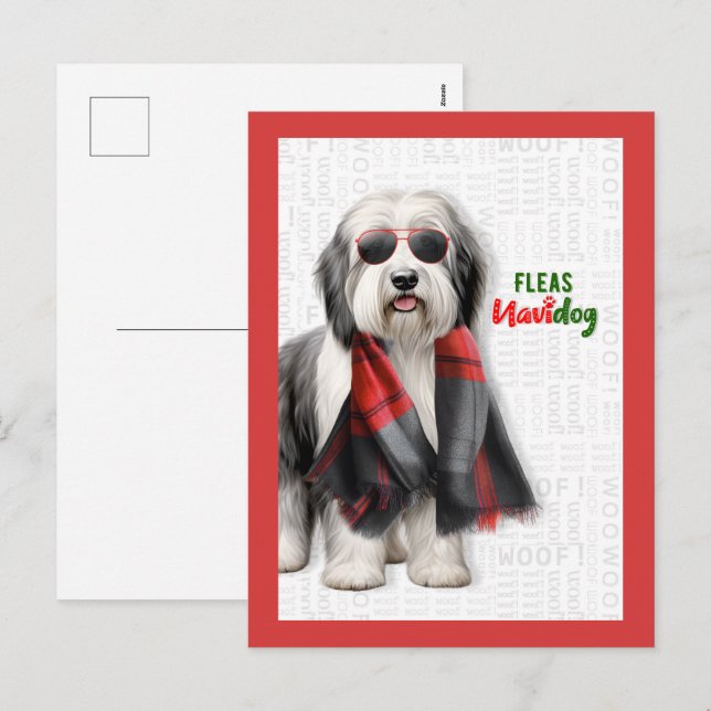 Söt Fårhund Roliga Loppor Navidog Jul Helg Vykort (Fram/baksida)