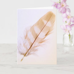Söt Feather Nature kommer bra Kort