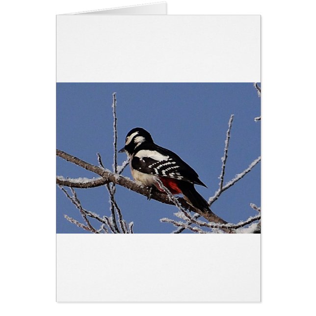 Söt-fläckig vekare hälsningskort (Framsidan)