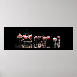 Söt Flamingo Poster
