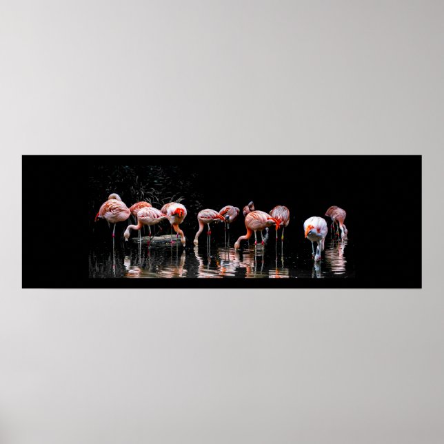 Söt Flamingo Poster (Framsidan)