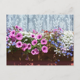 Söt Flower Box Vykort