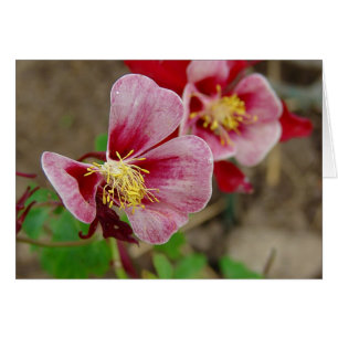 Söt Flower Hälsningskort