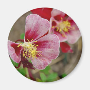 Söt Flower Magnet
