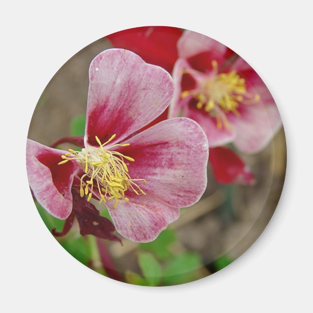 Söt Flower Magnet (Framsidan)