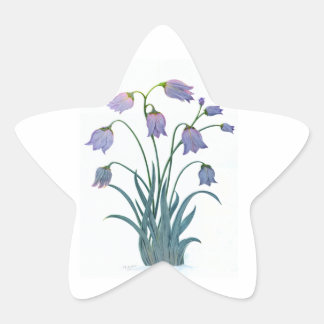 SÖT FLOWER PÅ STAR STICKER STJÄRNFORMAT KLISTERMÄRKE