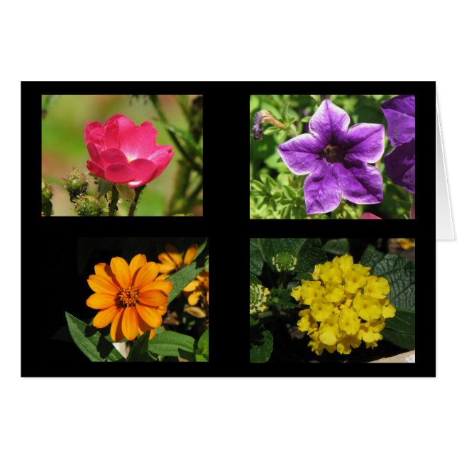 Söt Flowers Collection Hälsningskort (Framsidan Horizontal)