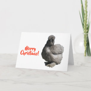 Söt fluffig blå Silkie-kyckling God Jul Kort