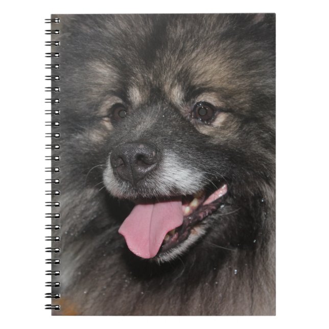 SÖT FLUFFIG GRÅ KEESHOND HUND ANTECKNINGSBOK (Framsidan)