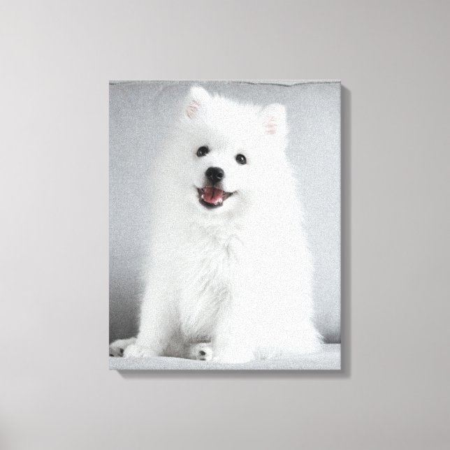 Söt fluffig japansk spitz-valp canvastryck (Framsida)
