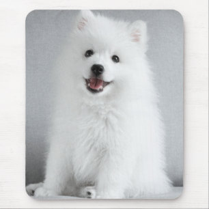 Söt fluffig japansk spitz-valp musmatta