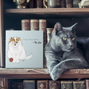 Söt fluffig perserkatta rolig meow blå kakelplatta
