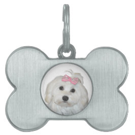 Söt Fluffig Vit Maltese Lili ID-bricka Husdjur