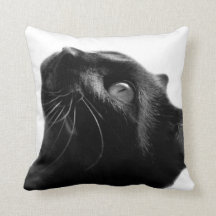 Söt foto av svart och vitt kattdjur