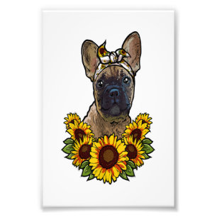 Söt fransk bulldog-gåva solrosdecor frenchie fototryck