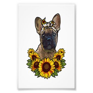 Söt fransk bulldog-gåva solrosdecor frenchie fototryck