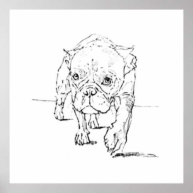 Söt fransk bulldogg, hundillustration poster (Framsidan)