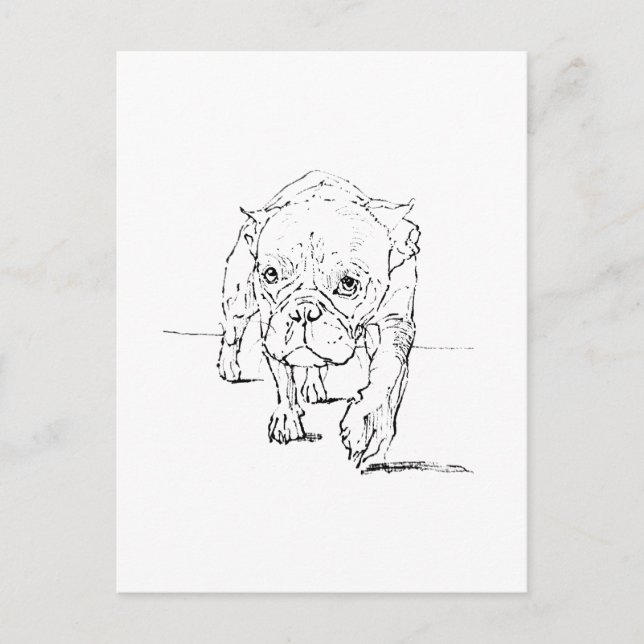 Söt fransk bulldogg, hundillustration vykort (Framsida)