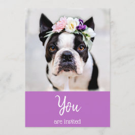 *~* Söt fransk bulldogg  Inbjudan till Frenchie-ev