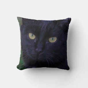 Söt funky svart kattunge gula ögon kudde