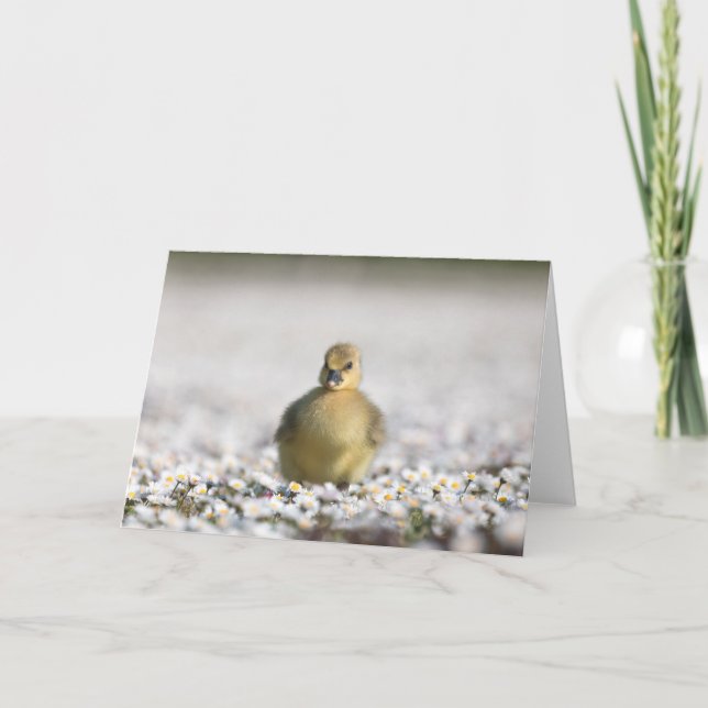 Söt gåungnaturfoto kort (Framsida)