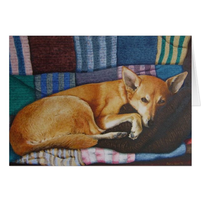 Söt german shepherd labrador hund sova OBS kort (Framsidan Horizontal)