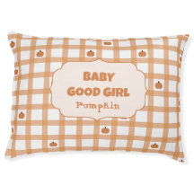 Söt Gingham-barnflicka med pumpa