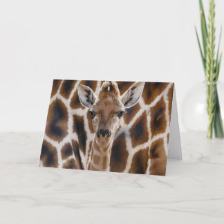 Söt giraffe grattis på födelsedagen-kort kort