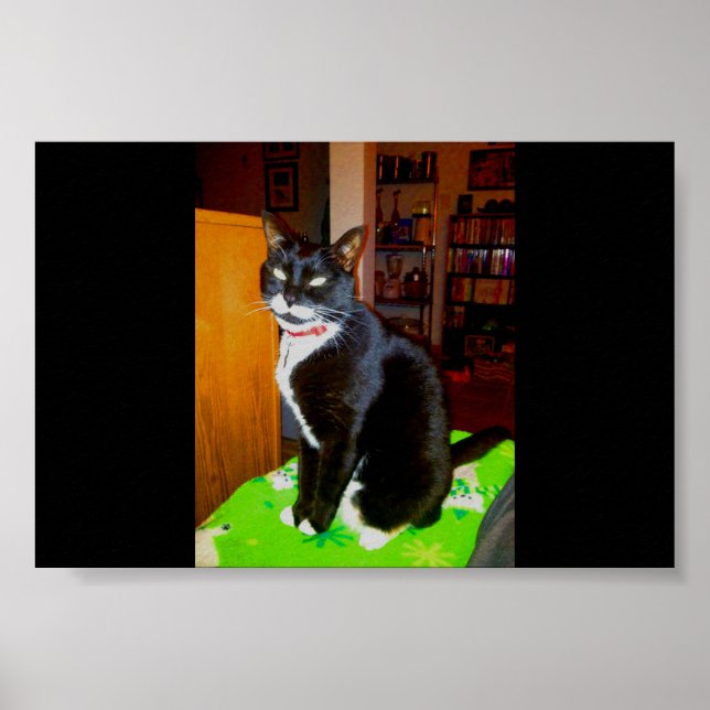 Söt Girl Girl Lucy Poster (Framsidan)